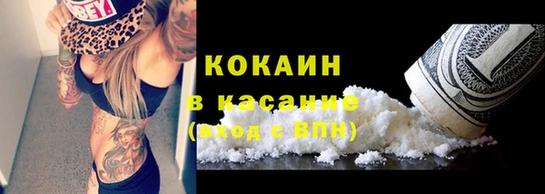 индика Покачи
