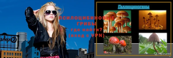 индика Покачи