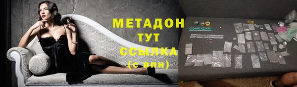 индика Покачи
