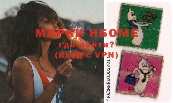 индика Покачи