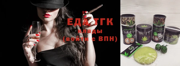 индика Покачи