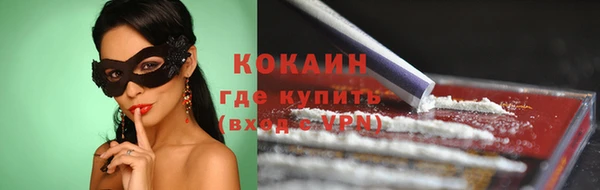 индика Покачи