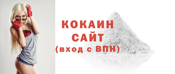 индика Покачи
