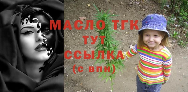 индика Покачи