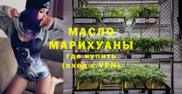 индика Покачи