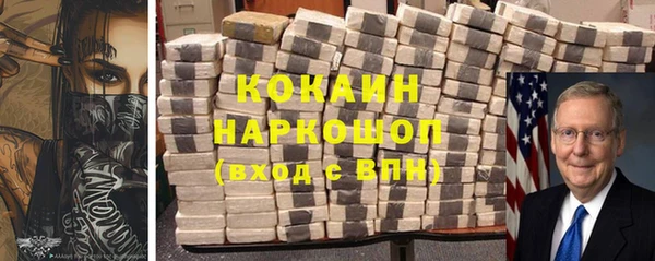 индика Покачи