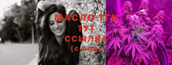 индика Покачи