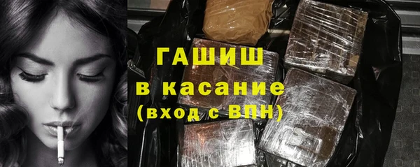 индика Покачи