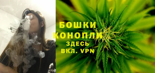 стаф Покровск