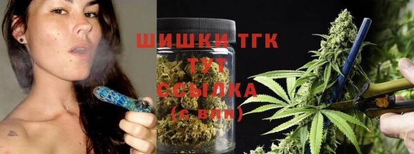 стаф Покровск
