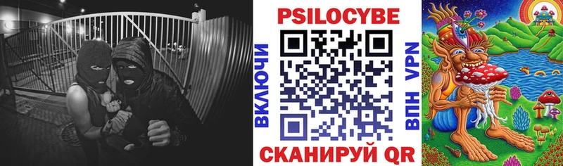 Галлюциногенные грибы прущие грибы  Купить где  Реж 