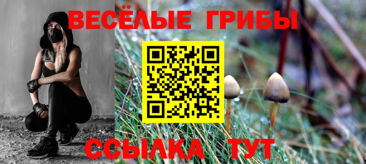 Галлюциногенные грибы Magic Shrooms Реж