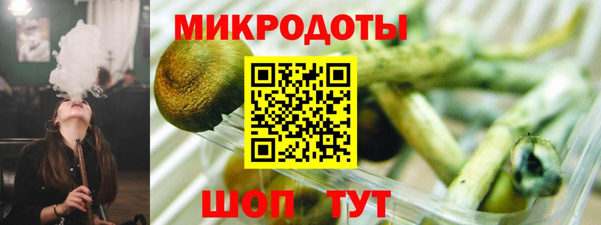 Реж  Галлюциногенные грибы прущие грибы  Вход с VPN 